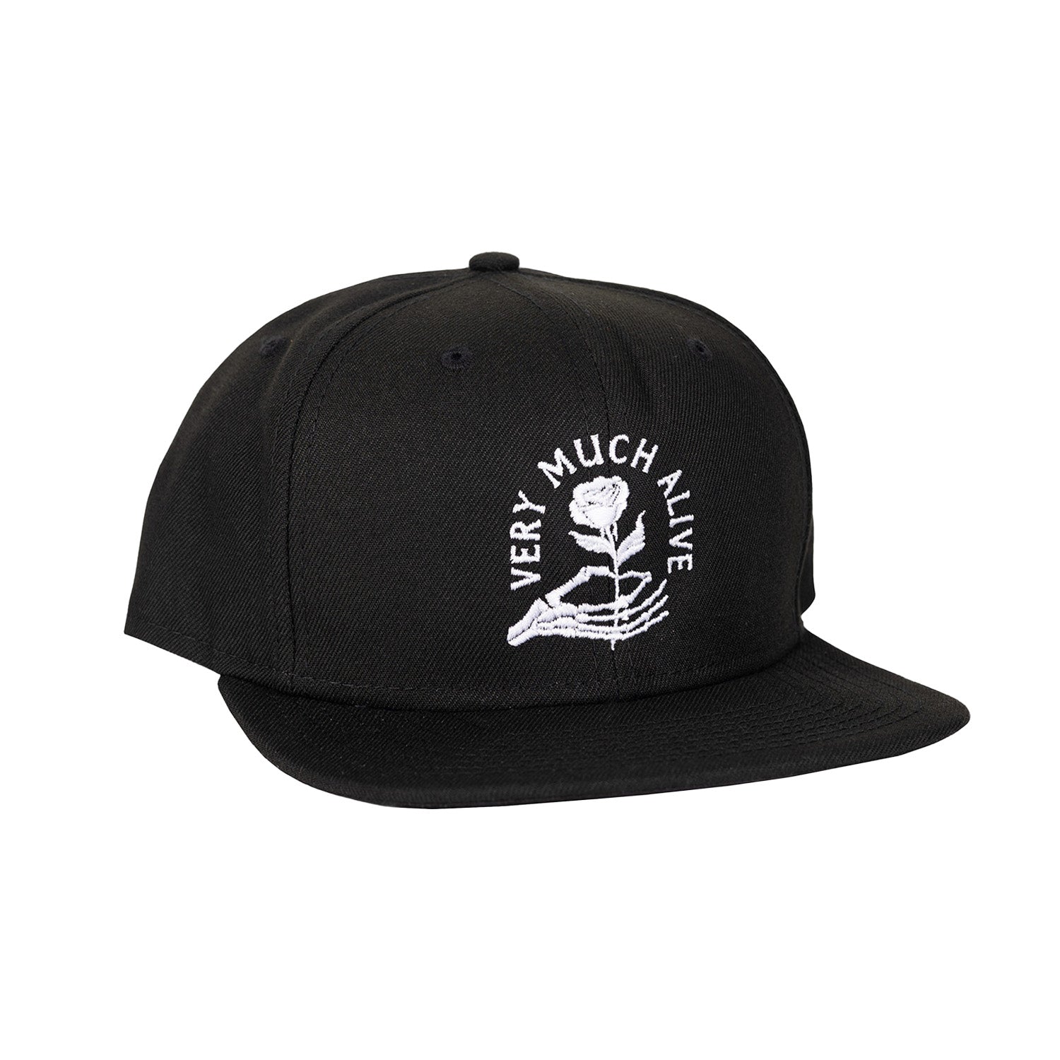 Emo’s Not Dead, Band Merch, Very Much Alive Snapback, hat